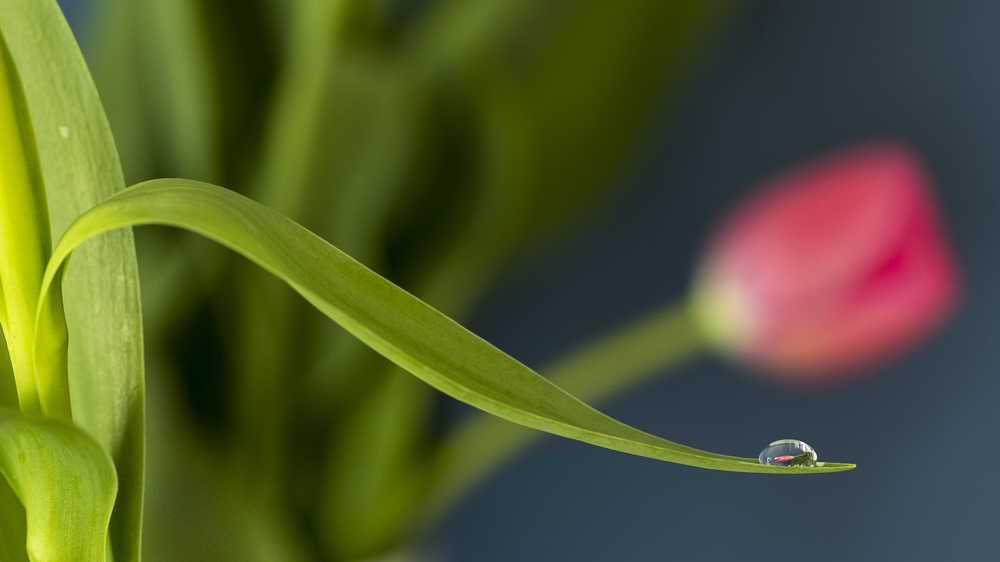 Platz 3 Conny Kleiner